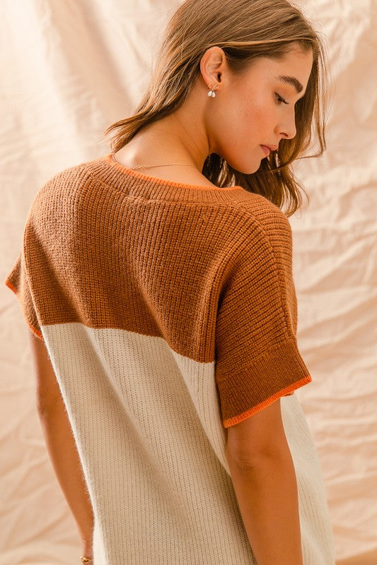 Colorblock Yoke VNeck SS Sweater Top