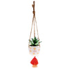 Hanging Succulent Pot