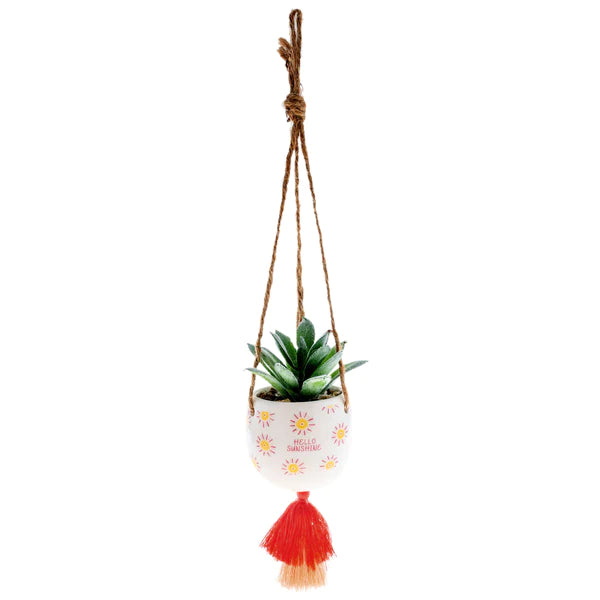 Hanging Succulent Pot