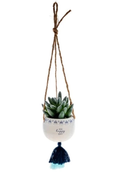 hanging succulent holder Hanging Succulent Pot