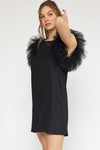 Tulle Sleeve Mini Dress