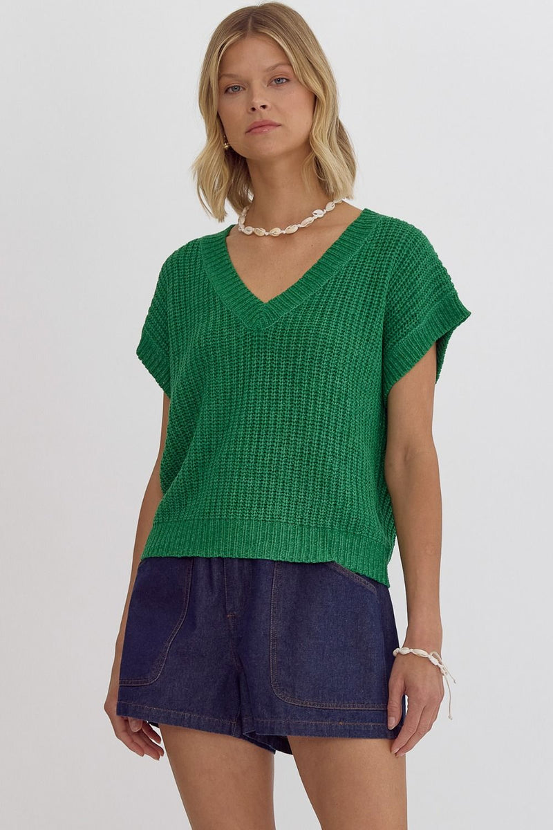 Solid V-Neck SS Sweater Top