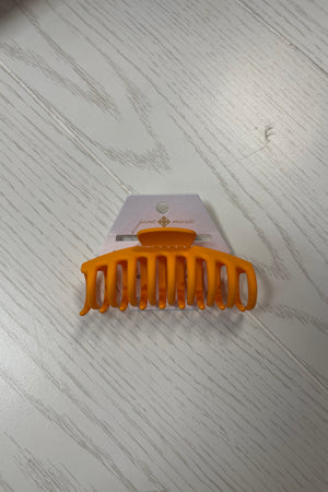 Claw Hair Clip