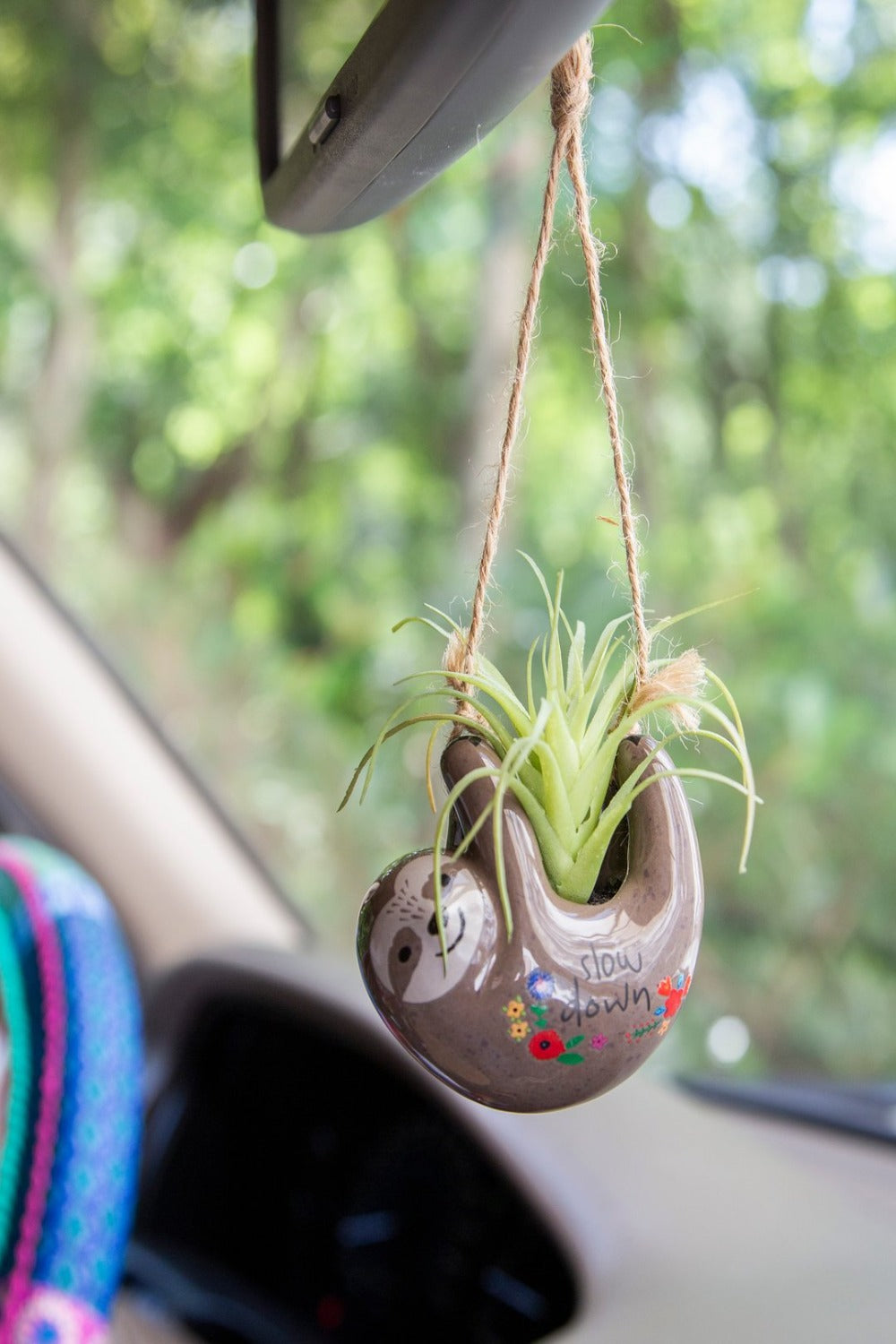 Natural Life Mini Hanging Car Succulent- Sloth