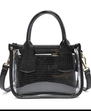 Stacey Clear Satchel Bag